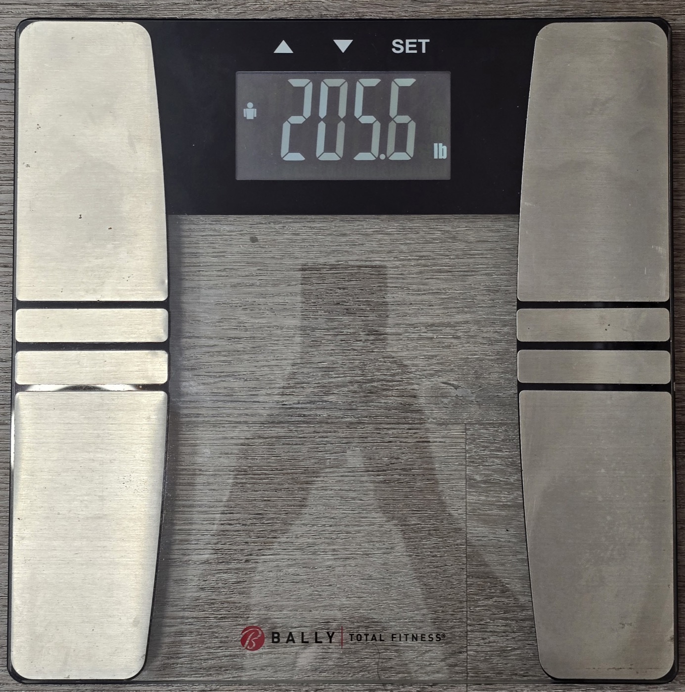 The scale on day 13 morning reading 205.6 pounds