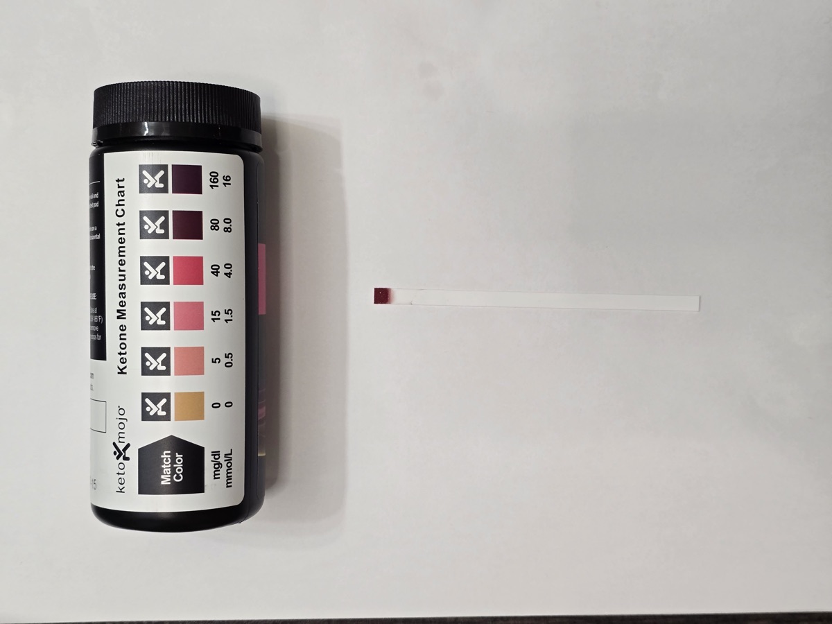 The ketone strip on day 25 still reading at the top of the chart