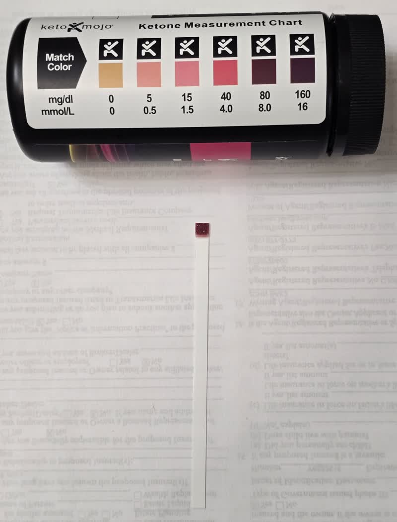 Ketone strip on day 47 matching the 16 pad on the chart
